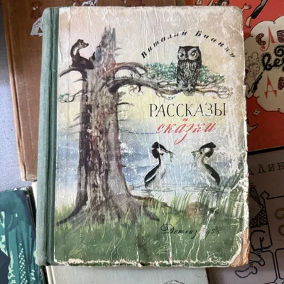 Рассказы и сказки