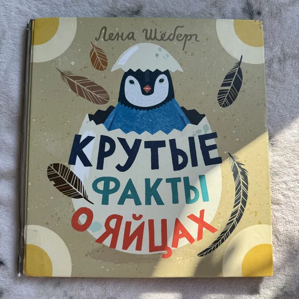 Крутые факты о яйцах