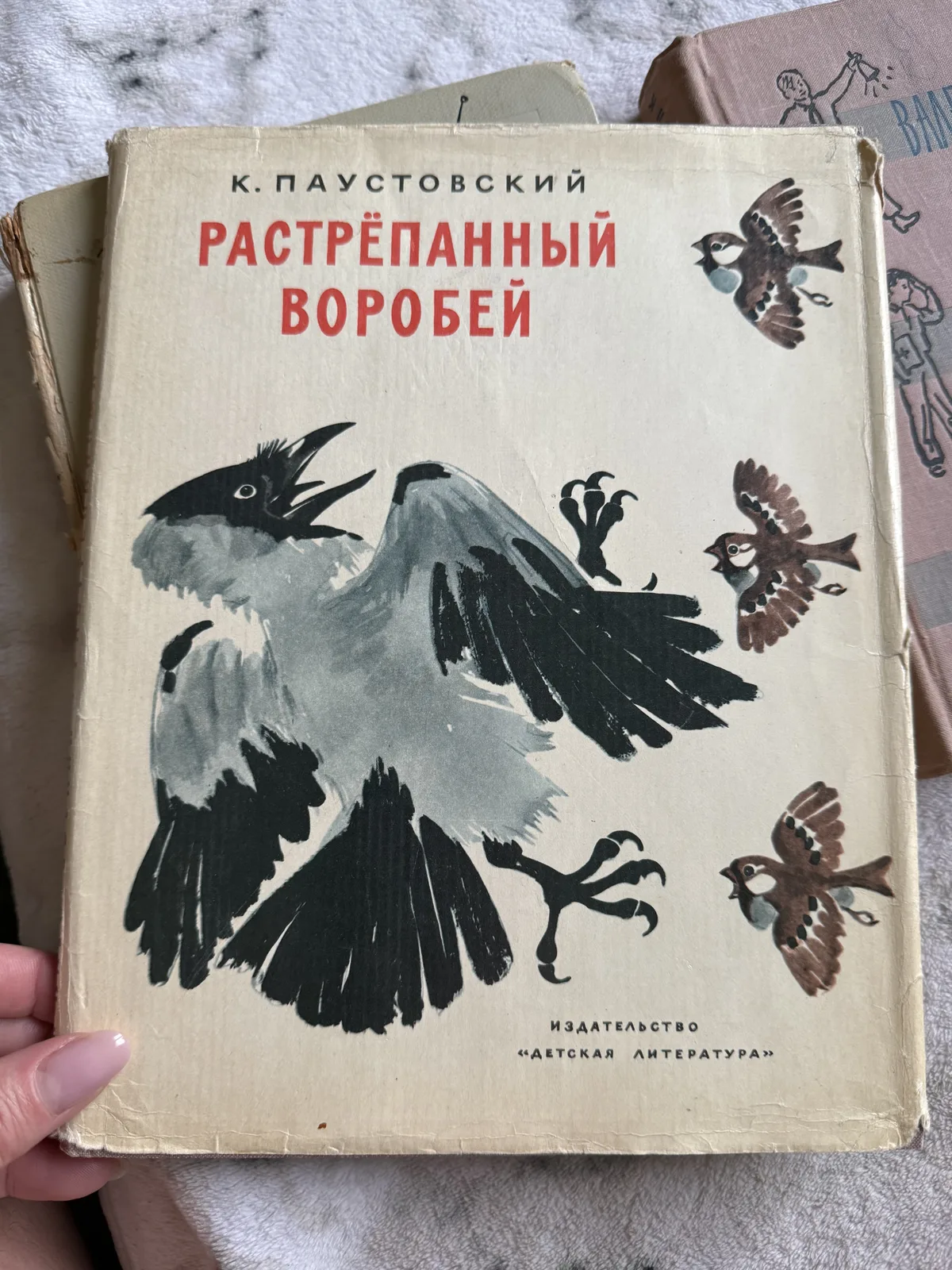 Растрёпанный воробей, фото 1