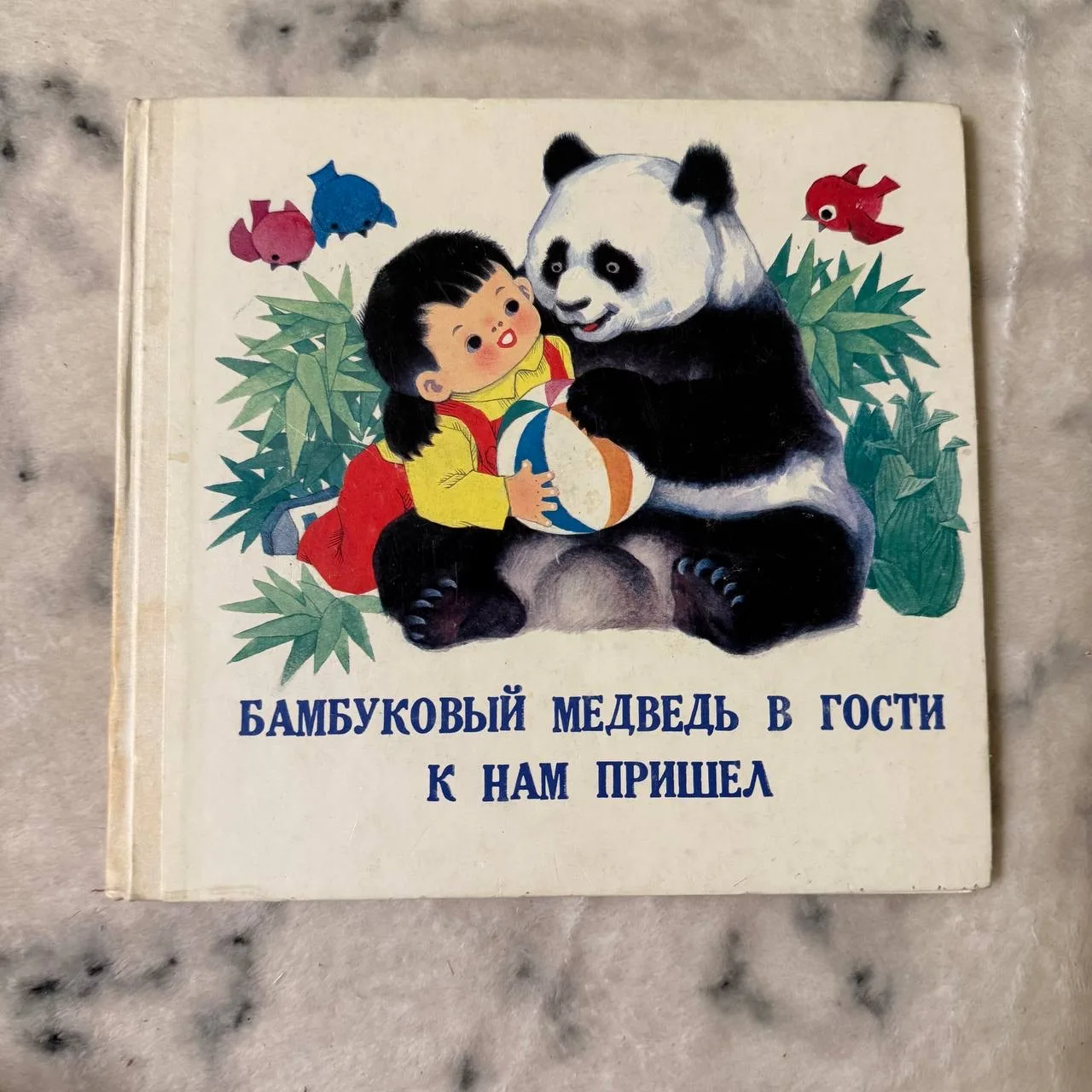 Бамбуковый медведь в гости к нам пришёл, фото 1