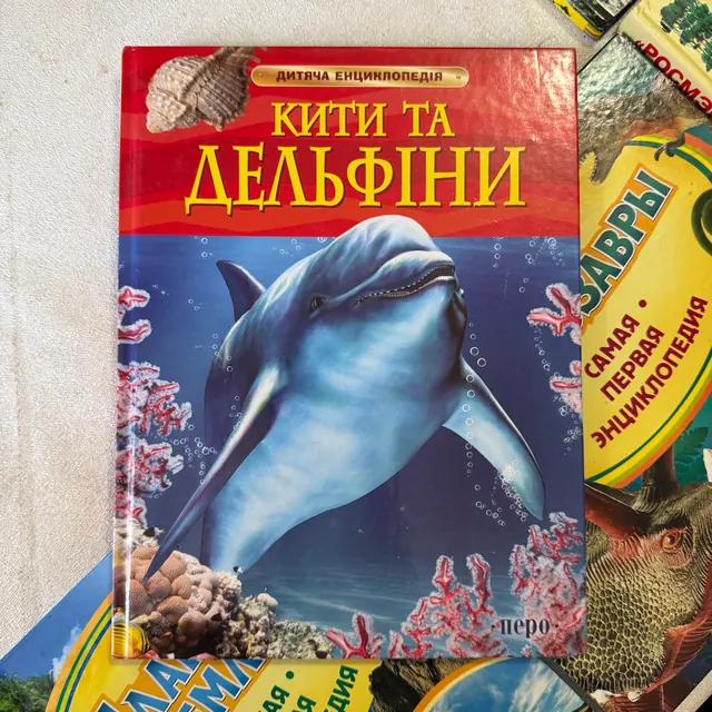 Кити та дельфіни