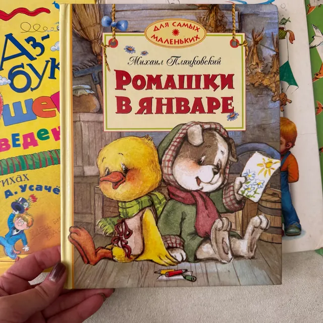 Ромашки в январе